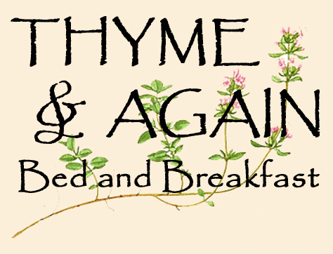 Graaff-Reinet Accommodation - Thyme & Again B&B